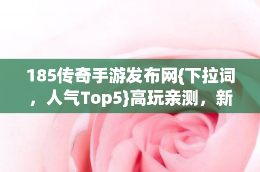 185传奇手游发布网图片