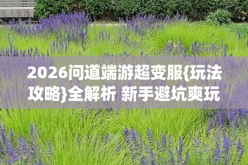 2026问道端游超变服图片