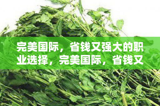 完美国际,省钱又强大的职业选择,完美国际,省钱又强大的职业选择指南 完美国际,省钱又强大的职业选择,完美国际,省钱又强大的职业选择指南