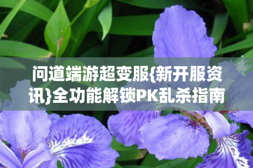 全功能解锁PK乱杀指南图片