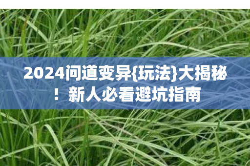 2024问道变异{玩法}大揭秘！新人必看避坑指南
