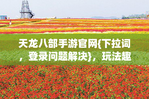 玩法趣解机灵小师妹图片