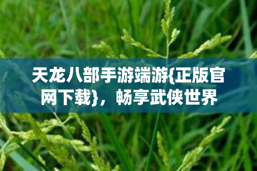 天龙八部手游端游图片