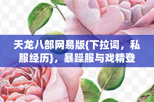 暴躁服与戏精登录的坑点分享图片