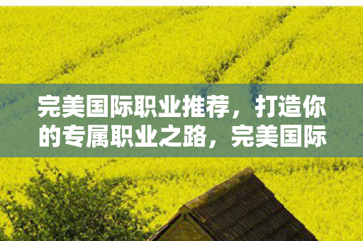 完美国际职业推荐,打造你的专属职业之路,完美国际职业推荐,打造专属职业之路 完美国际职业推荐,打造你的专属职业之路,完美国际职业推荐,打造专属职业之路