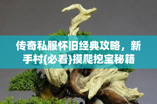 传奇私服怀旧经典攻略,新手村{必看}摸爬挖宝秘籍 传奇私服怀旧经典攻略,新手村{必看}摸爬挖宝秘籍
