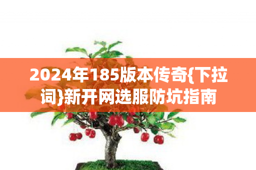 2024年185版本传奇{下拉词}新开网选服防坑指南