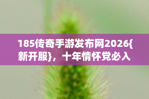 185传奇手游发布网2026图片