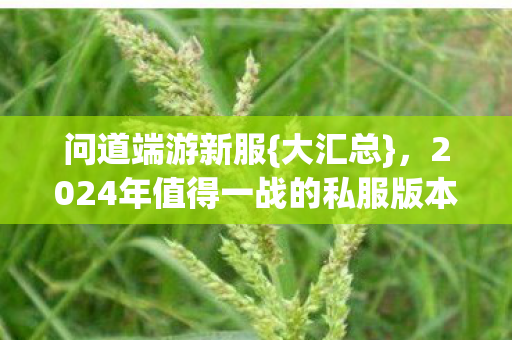 问道端游新服{大汇总}，2024年值得一战的私服版本推荐