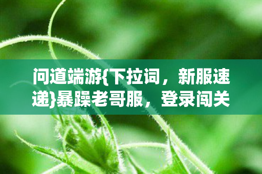 登录闯关大冒险超刺激图片