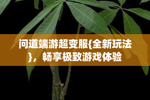 畅享极致游戏体验图片