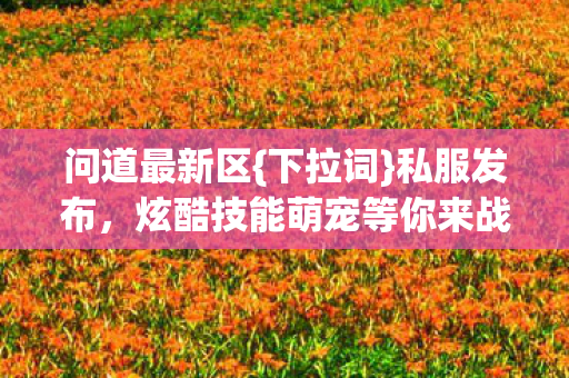 问道最新区{下拉词}私服发布,炫酷技能萌宠等你来战! 问道最新区{下拉词}私服发布,炫酷技能萌宠等你来战!