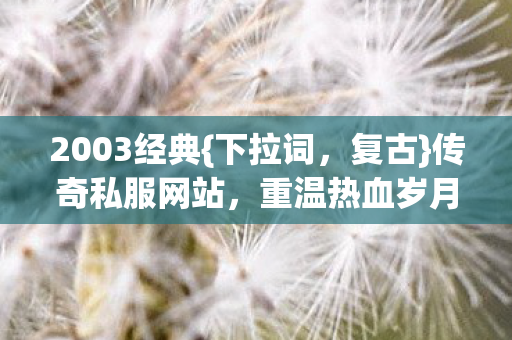 2003经典{下拉词，复古}传奇私服网站，重温热血岁月