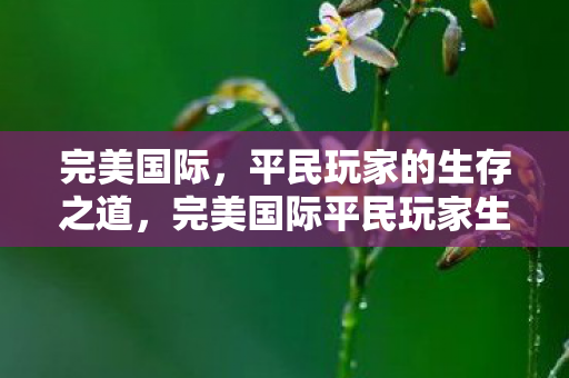 完美国际,平民玩家的生存之道,完美国际平民玩家生存指南,打造强大角色,享受游戏乐趣 完美国际,平民玩家的生存之道,完美国际平民玩家生存指南,打造强大角色,享受游戏乐趣