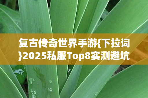 复古传奇世界手游{下拉词}2025私服Top8实测避坑指南