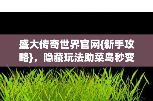 隐藏玩法助菜鸟秒变大神图片