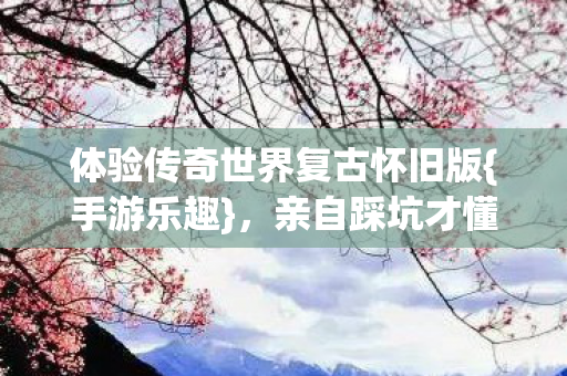 体验传奇世界复古怀旧版{手游乐趣}，亲自踩坑才懂快乐