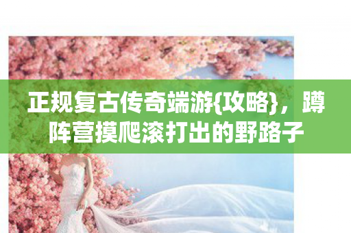 正规复古传奇端游{攻略},蹲阵营摸爬滚打出的野路子 正规复古传奇端游{攻略},蹲阵营摸爬滚打出的野路子