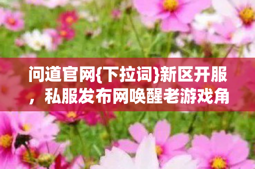 问道官网{下拉词}新区开服,私服发布网唤醒老游戏角色 问道官网{下拉词}新区开服,私服发布网唤醒老游戏角色