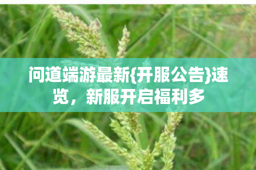问道端游最新{开服公告}速览，新服开启福利多
