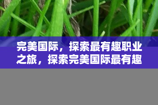 完美国际,探索最有趣职业之旅,探索完美国际最有趣职业之旅 完美国际,探索最有趣职业之旅,探索完美国际最有趣职业之旅