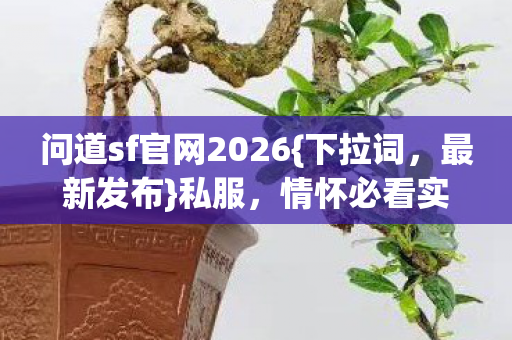 问道sf官网2026{下拉词,最新发布}私服,情怀必看实测认证服选择攻略 问道sf官网2026{下拉词,最新发布}私服,情怀必看实测认证服选择攻略