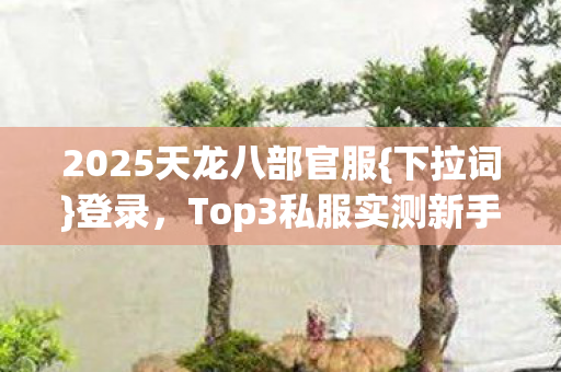 2025天龙八部官服{下拉词}登录,Top3私服实测新手避坑指南 2025天龙八部官服{下拉词}登录,Top3私服实测新手避坑指南