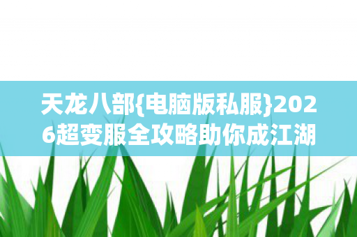 天龙八部{电脑版私服}2026超变服全攻略助你成江湖大佬 天龙八部{电脑版私服}2026超变服全攻略助你成江湖大佬