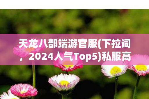 2024人气Top5图片