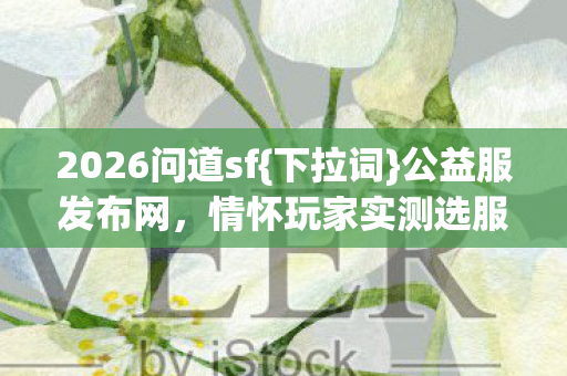 情怀玩家实测选服指南图片