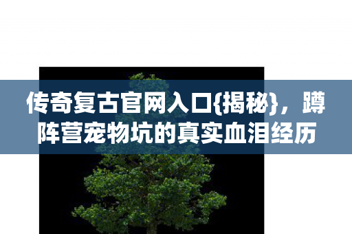 蹲阵营宠物坑的真实血泪经历图片