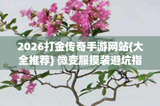 2026打金传奇手游网站图片