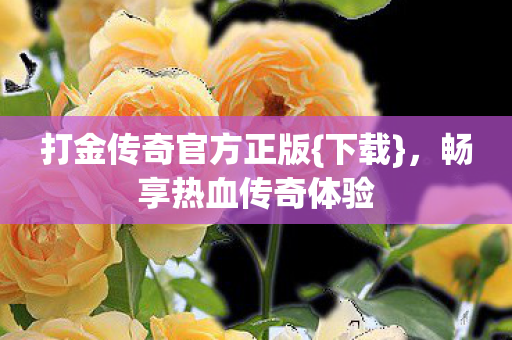打金传奇官方正版{下载},畅享热血传奇体验 打金传奇官方正版{下载},畅享热血传奇体验