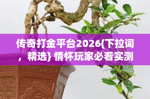 情怀玩家必看实测认证服选择图片