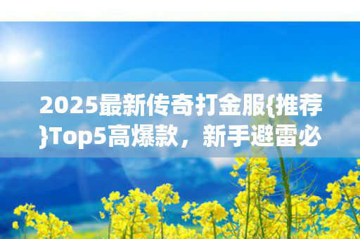 2025最新传奇打金服图片