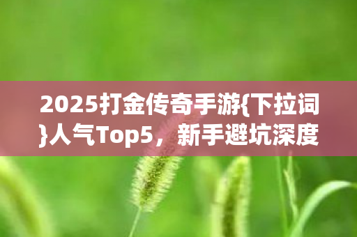 2025打金传奇手游{下拉词}人气Top5,新手避坑深度体验 2025打金传奇手游{下拉词}人气Top5,新手避坑深度体验