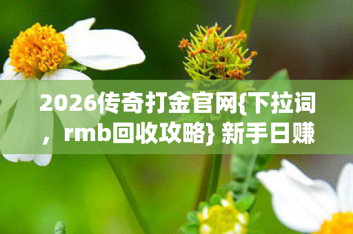 2026传奇打金官网{下拉词，rmb回收攻略} 新手日赚三位数秘籍