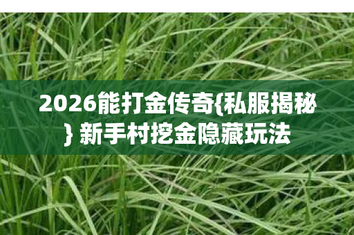 2026能打金传奇{私服揭秘} 新手村挖金隐藏玩法 2026能打金传奇{私服揭秘} 新手村挖金隐藏玩法