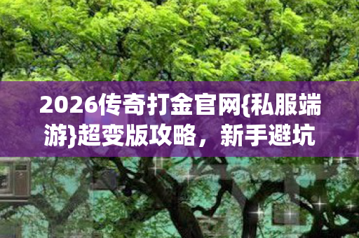 2026传奇打金官网图片