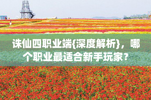 诛仙四职业端{深度解析}，哪个职业最适合新手玩家？