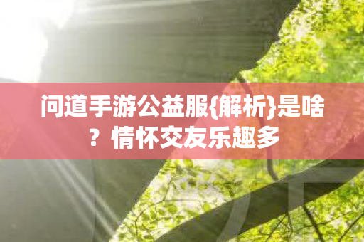 问道手游公益服图片