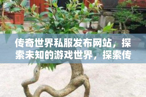 传奇世界私服发布网站,探索未知的游戏世界,探索传奇世界私服,解锁未知游戏世界 传奇世界私服发布网站,探索未知的游戏世界,探索传奇世界私服,解锁未知游戏世界