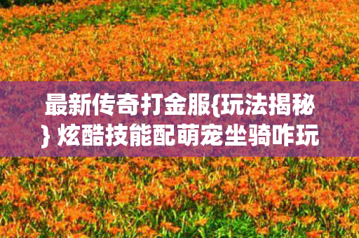 炫酷技能配萌宠坐骑咋玩图片