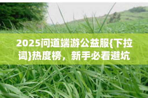 2025问道端游公益服图片