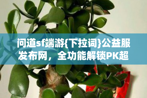 全功能解锁PK超爽图片