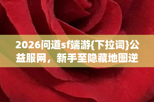 2026问道sf端游图片