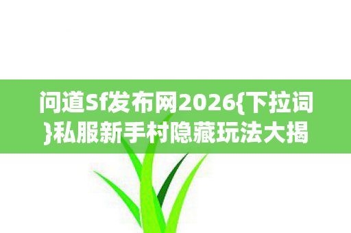 问道Sf发布网2026{下拉词}私服新手村隐藏玩法大揭秘 问道Sf发布网2026{下拉词}私服新手村隐藏玩法大揭秘