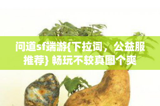 畅玩不较真图个爽图片