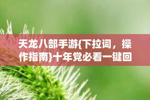十年党必看一键回城返回界面图片