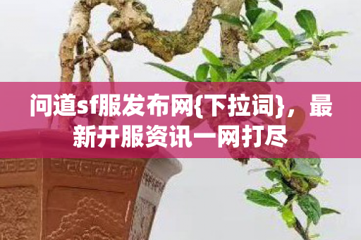 问道sf服发布网{下拉词},最新开服资讯一网打尽 问道sf服发布网{下拉词},最新开服资讯一网打尽